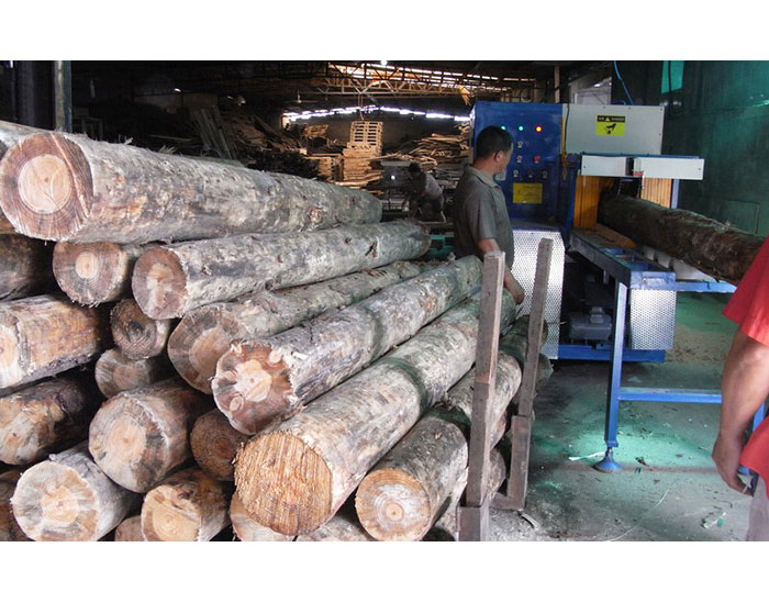 浙江省寧波市北侖區(qū)-圓木350機(jī)加工現(xiàn)場(chǎng)0