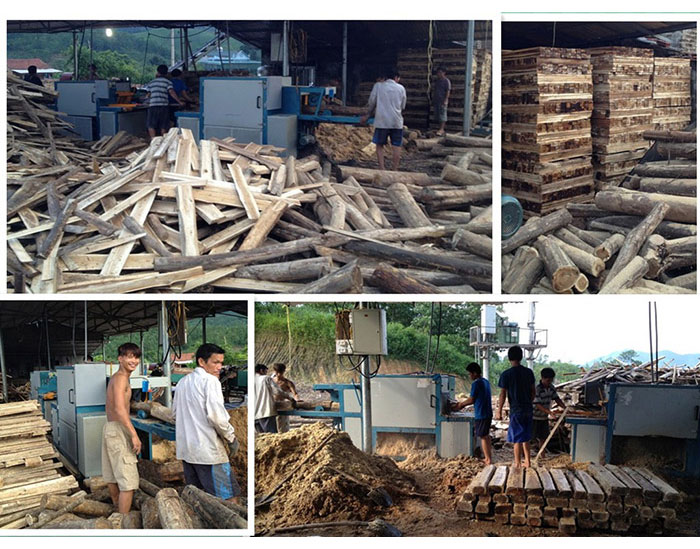 圓木多片鋸-越南-廣寧省-先安250型機(jī)加工現(xiàn)場